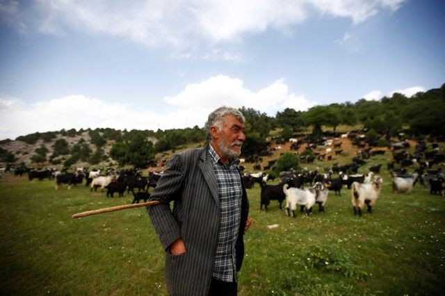 Bin yıllık hikaye: Anadolu'da yaşayan son göçebe yörükler 1