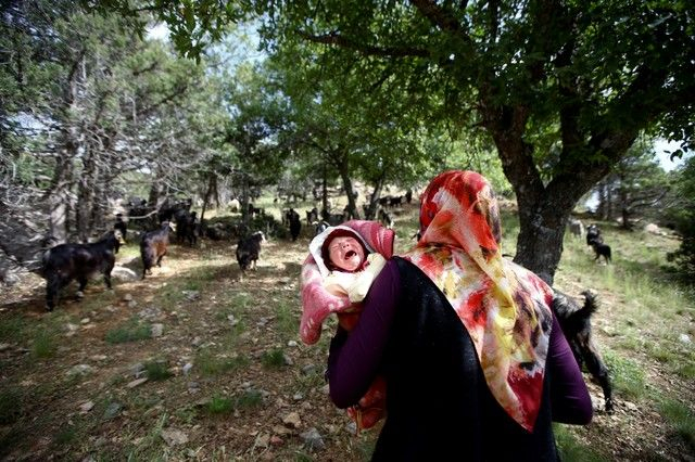 Bin yıllık hikaye: Anadolu'da yaşayan son göçebe yörükler 4