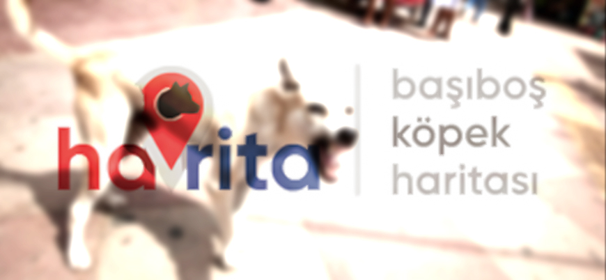 Başıboş köpek tehlikesine karşı kurulan 'Havrita'ya erişim engeli