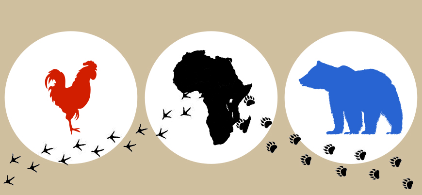Görüş | Ölüm ile sıtma arasında Afrika