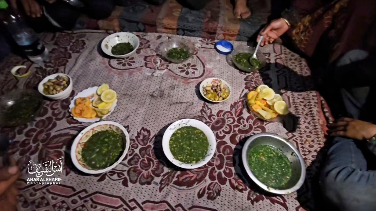 Filistinlilerin sokaktan toplayıp yediği otlar ne kadar zararlı?