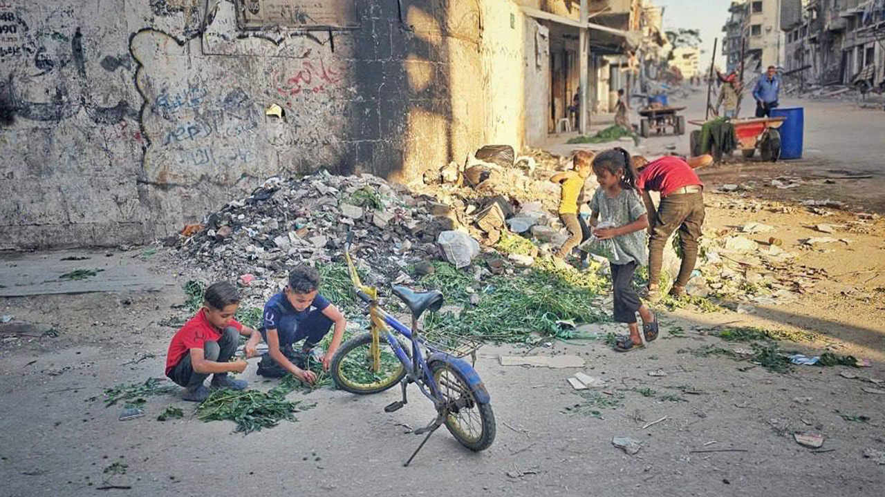 Gazze'de açlık sebebiyle çocuklar ağaç yaprağı topluyor