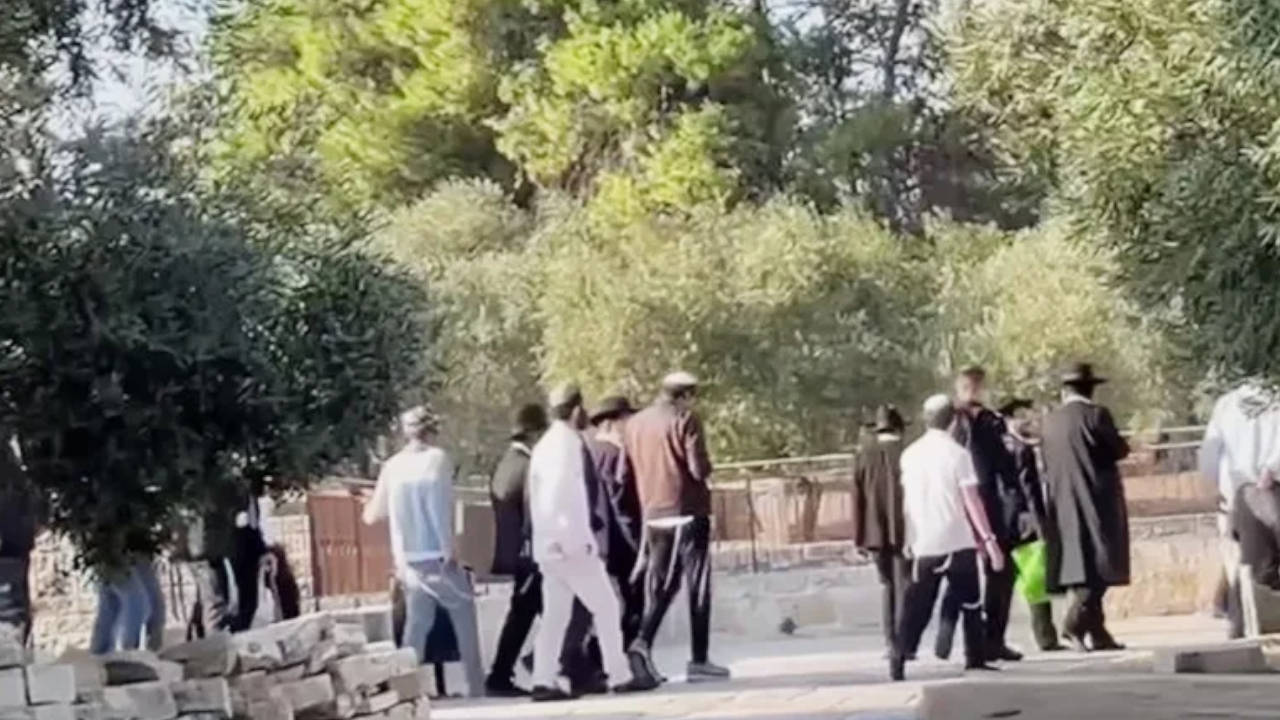 Yahudiler 'kanlı et parçalarıyla' Mescid-i Aksa'ya baskın düzenledi