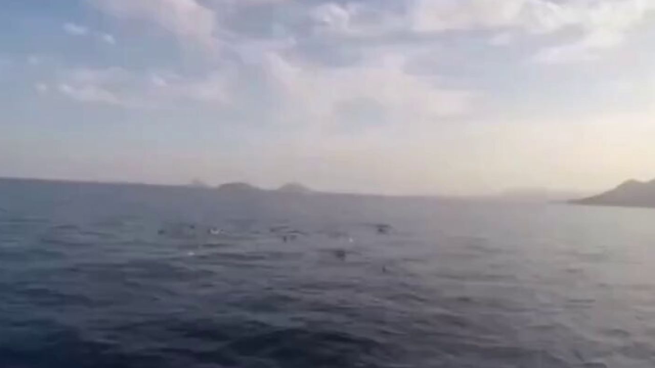 Yemen'de batan göçmen teknesinde 68 kişi hayatını kaybetti