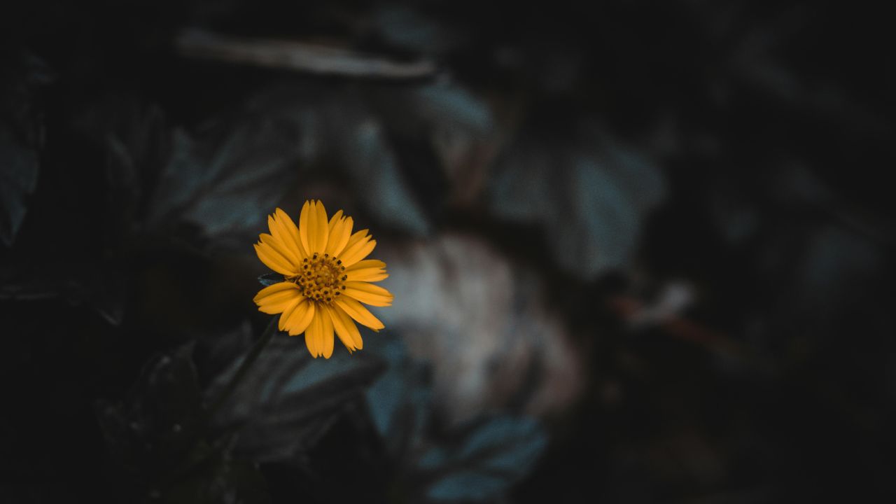 Görüş | Hüdayinabit