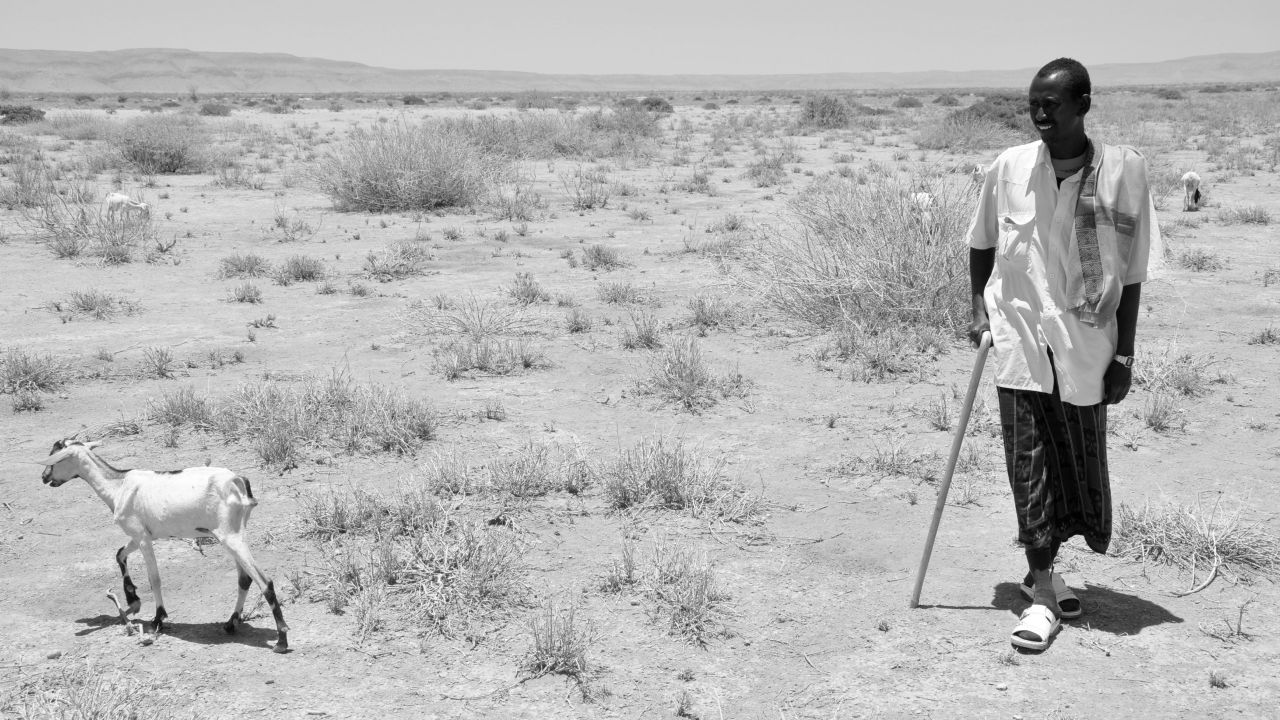 Somali'de kuraklık 6.5 milyon insanın hayatını tehdit ediyor