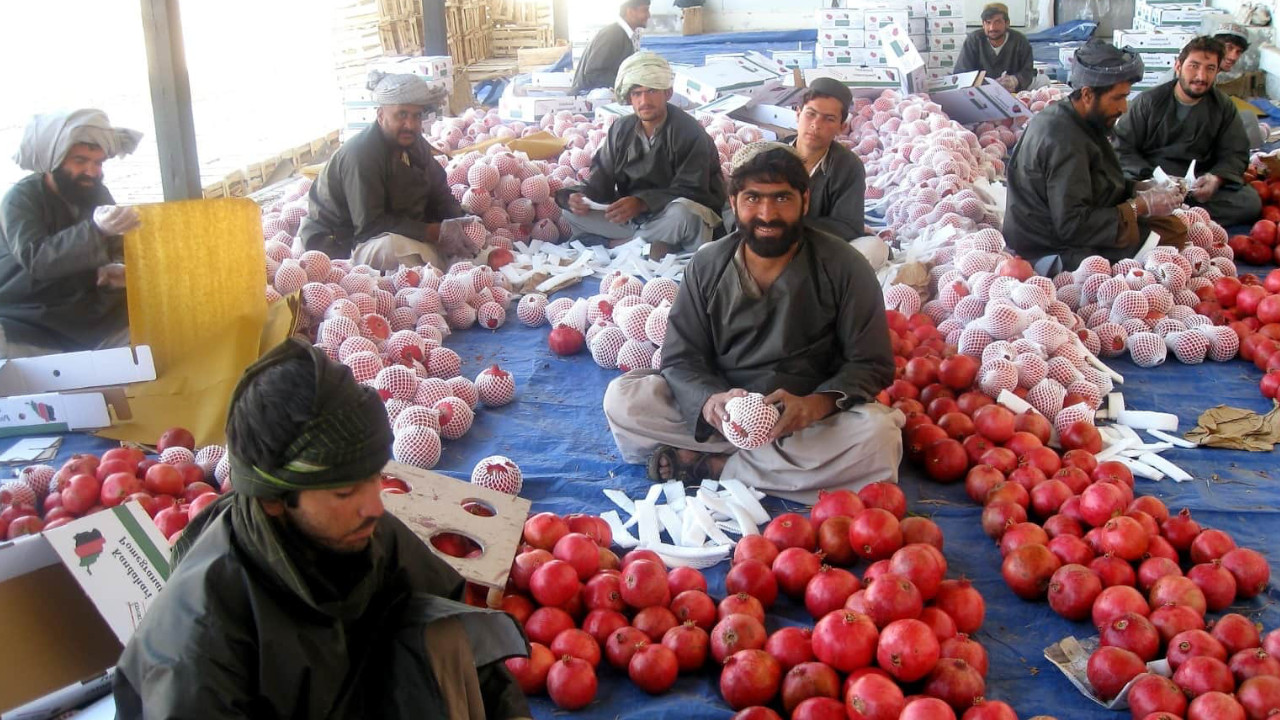 Afganistan’ın Orta Asya ile ticaret hacmi 1,27 milyar doları aştı