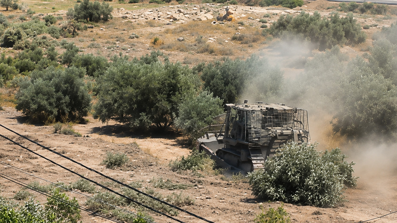 İsrail, Filistinlilere ait en az 500 zeytin ağacını kökünden söktü
