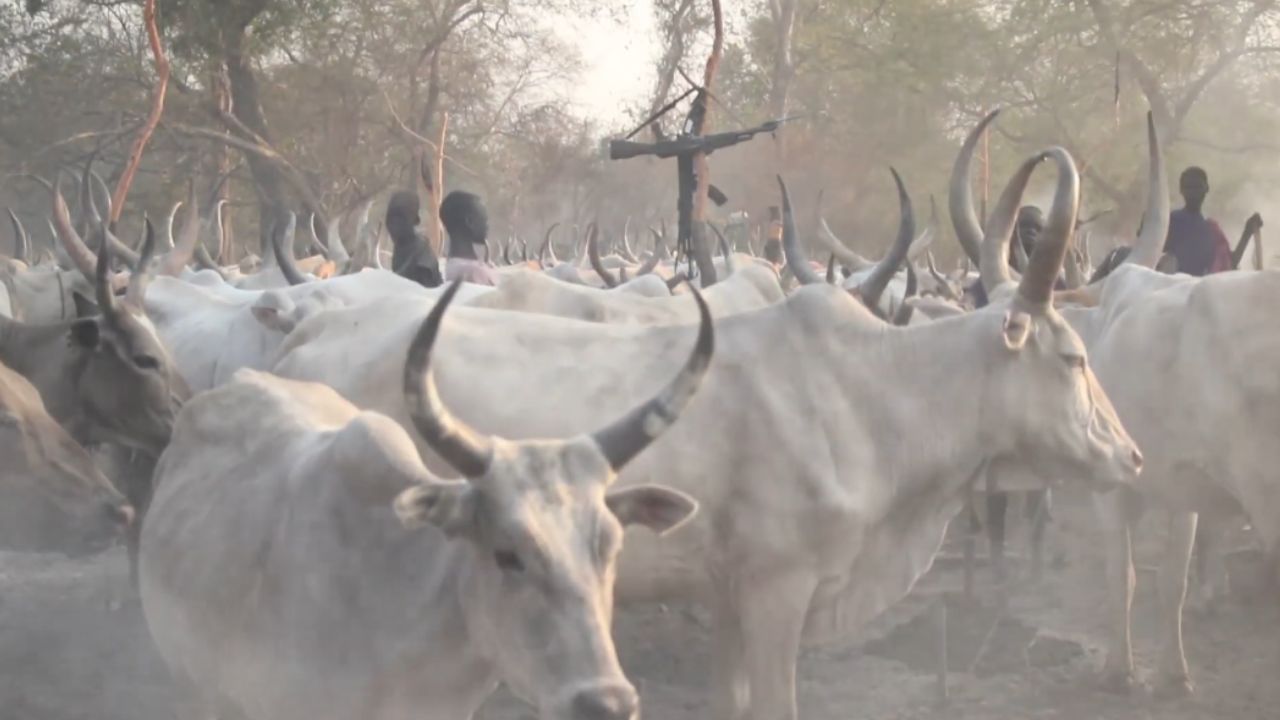 Güney Sudan'da bir çiftliğe yönelik saldırıda 49 sivil hayatını kaybetti
