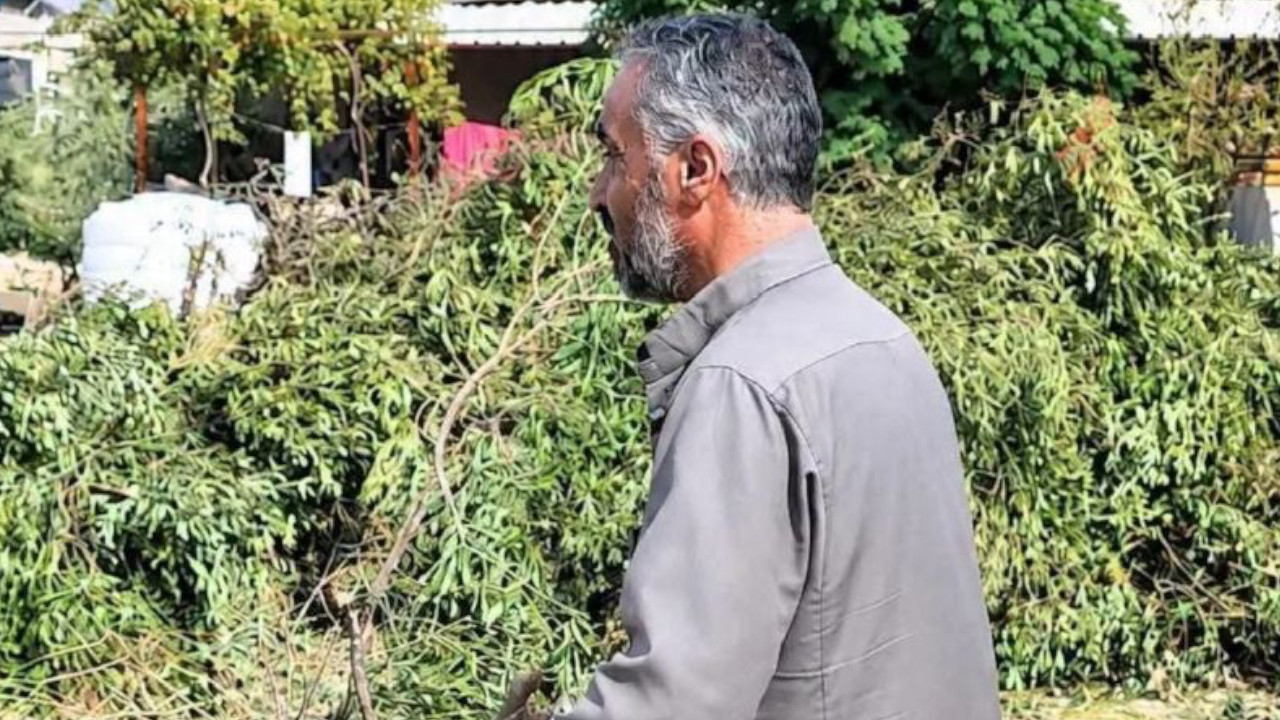 İsrail saldırıları Suriyeli çiftçilerin geçim kaynaklarını yok ediyor