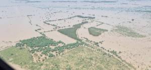 Ekonomik iflasın eşiğindeki Pakistan'da sellerin maliyeti 15-20 milyar dolar