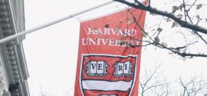 Filistin'de yaşananlardan İsrail'i sorumlu tutan Harvard öğrencileri hedefe oturtuldu