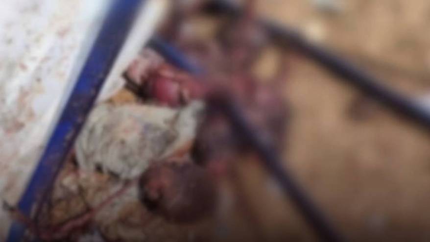 Sudan'daki insansız hava aracı saldırısında 46'sı çocuk 80 kişi öldü