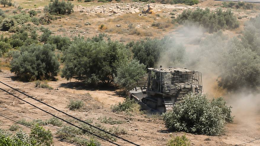 İsrail, Filistinlilere ait en az 500 zeytin ağacını kökünden söktü