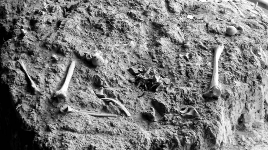Kayıplar ve toplu mezarlar: Sudan'da insani kriz derinleşiyor