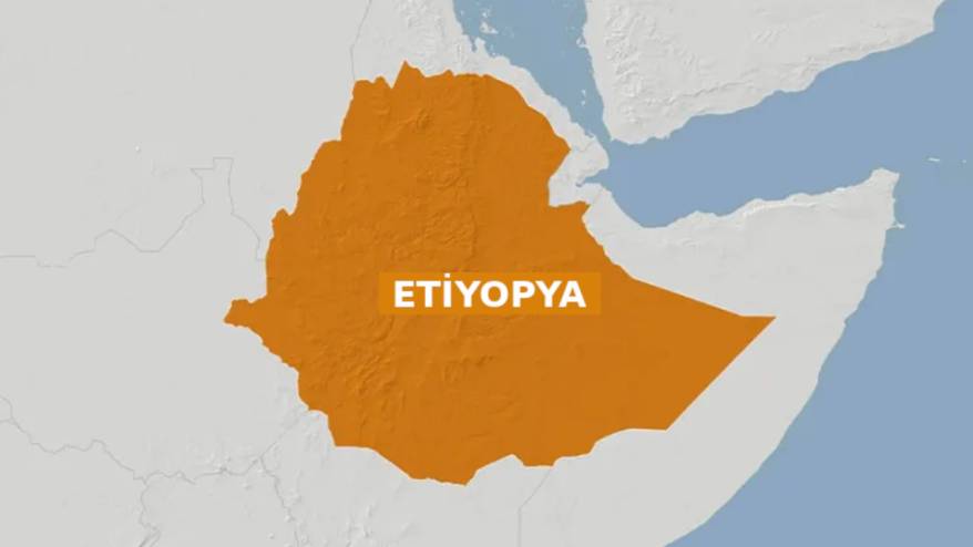 Etiyopya'da yedi silahlı grup hükümeti devirmek için ittifak kurdu