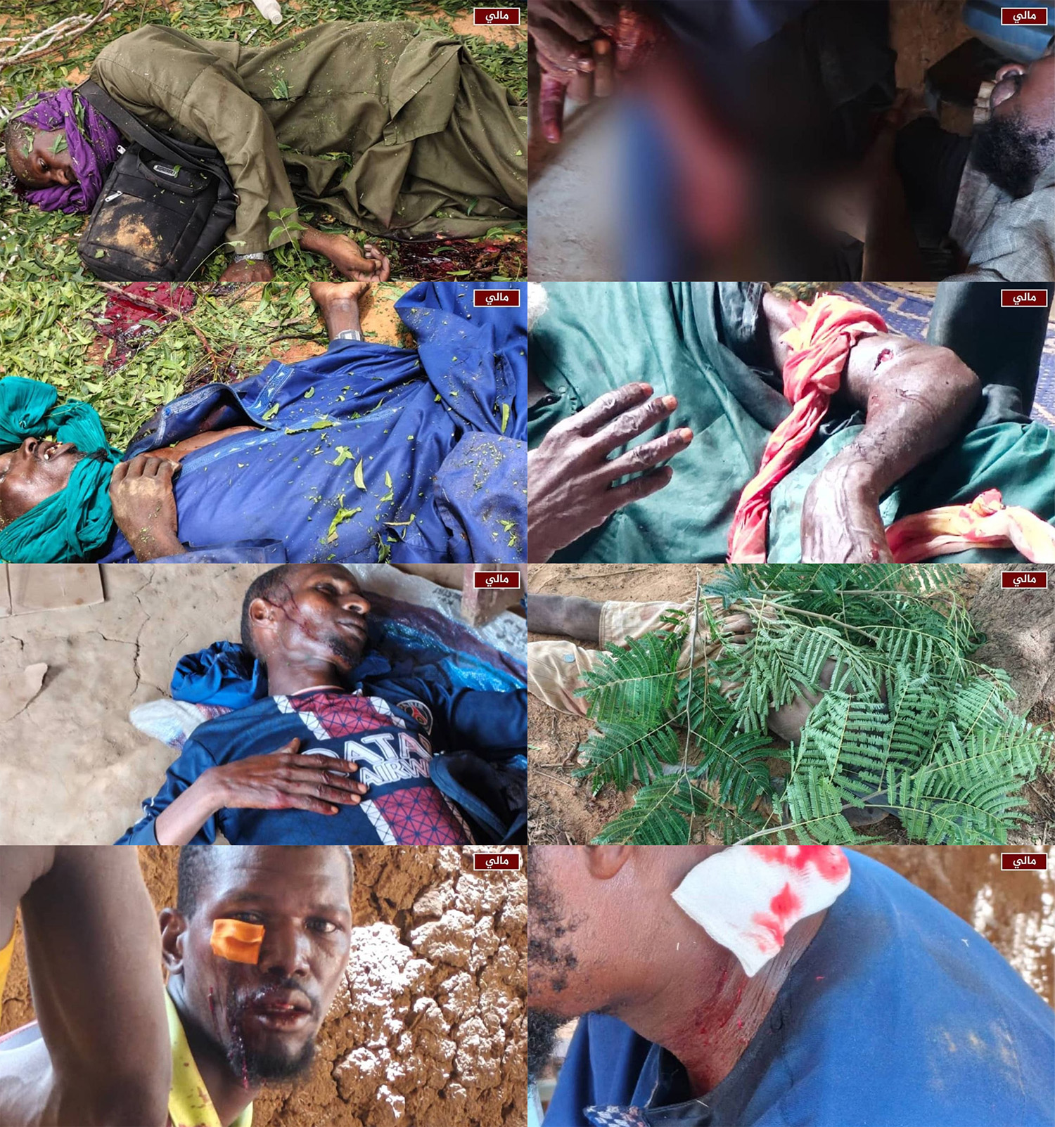 mali.jpg